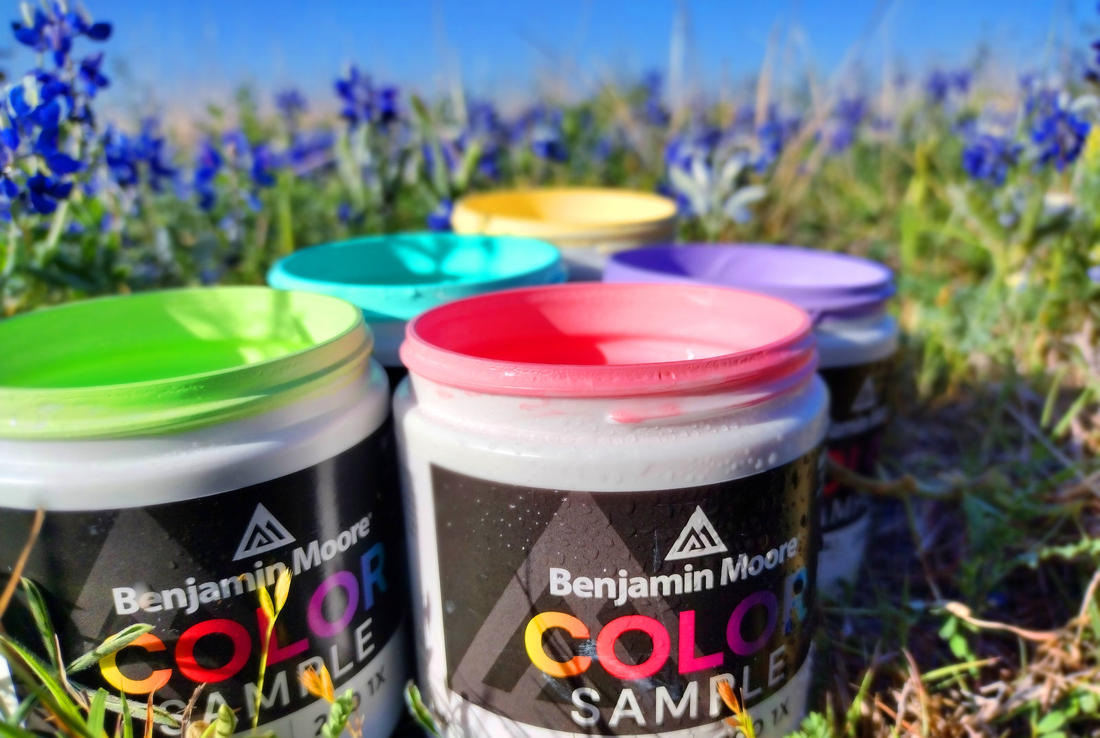 EMBRACE SPRING: RENEW YOUR HOME WITH A FRESH COAT OF PAINT!