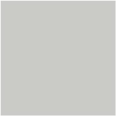 HC-170: Stonington Gray a paint color by Benjamin Moore avaiable at Clement's Paint in Austin, TX.