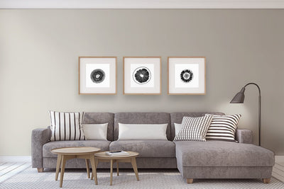 OC-23: Classic Gray by Benjamin Moore