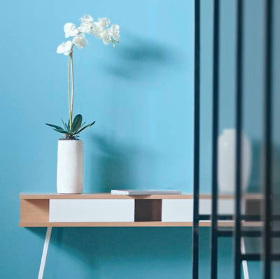 CSP-635: Spa Day by Benjamin Moore