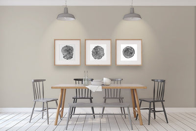 OC-28: Collingwood by Benjamin Moore