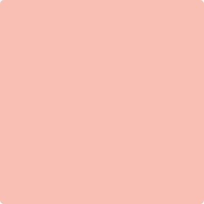 10-Pink: Canopy  a paint color by Benjamin Moore avaiable at Clement's Paint in Austin, TX.