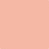 25-Vivid: Peach  a paint color by Benjamin Moore avaiable at Clement's Paint in Austin, TX.