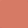 34-Spiced: Pumpkin  a paint color by Benjamin Moore avaiable at Clement's Paint in Austin, TX.