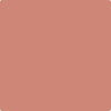 40-Peaches: N Cream  a paint color by Benjamin Moore avaiable at Clement's Paint in Austin, TX.