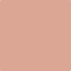 46-Salmon: Mousse  a paint color by Benjamin Moore avaiable at Clement's Paint in Austin, TX.