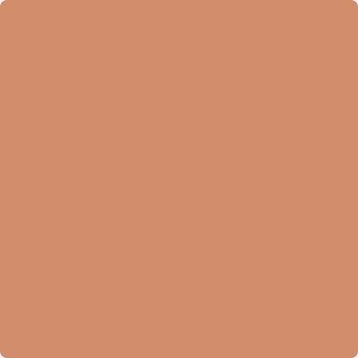 55-Pumpkin: Patch  a paint color by Benjamin Moore avaiable at Clement's Paint in Austin, TX.