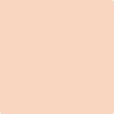 58-Pumpkin: Mousse  a paint color by Benjamin Moore avaiable at Clement's Paint in Austin, TX.
