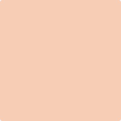 59-Orange: Creamsicle  a paint color by Benjamin Moore avaiable at Clement's Paint in Austin, TX.