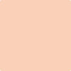 66-Forever: Young  a paint color by Benjamin Moore avaiable at Clement's Paint in Austin, TX.