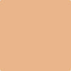 109-Canyon: Lands  a paint color by Benjamin Moore avaiable at Clement's Paint in Austin, TX.