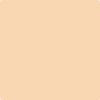 115-Peach: Complexion  a paint color by Benjamin Moore avaiable at Clement's Paint in Austin, TX.