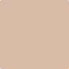 1166-Groundhog: Day  a paint color by Benjamin Moore avaiable at Clement's Paint in Austin, TX.
