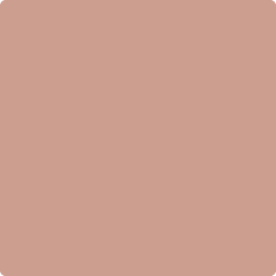 1188-Palmetto: Pink  a paint color by Benjamin Moore avaiable at Clement's Paint in Austin, TX.