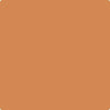 119-Cornucopia: Tan  a paint color by Benjamin Moore avaiable at Clement's Paint in Austin, TX.