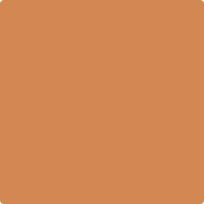 119-Cornucopia: Tan  a paint color by Benjamin Moore avaiable at Clement's Paint in Austin, TX.