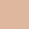 1215-Cinnamon: Spice  a paint color by Benjamin Moore avaiable at Clement's Paint in Austin, TX.