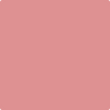 1285-Pink: Buff  a paint color by Benjamin Moore avaiable at Clement's Paint in Austin, TX.