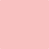 1303-Smashing: Pink  a paint color by Benjamin Moore avaiable at Clement's Paint in Austin, TX.