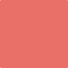 1305-Birds: of Paradise  a paint color by Benjamin Moore avaiable at Clement's Paint in Austin, TX.