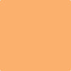 132-Tangerine: Zing  a paint color by Benjamin Moore avaiable at Clement's Paint in Austin, TX.