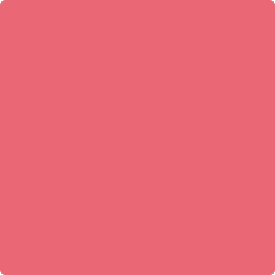1335-Cactus: Flower  a paint color by Benjamin Moore avaiable at Clement's Paint in Austin, TX.