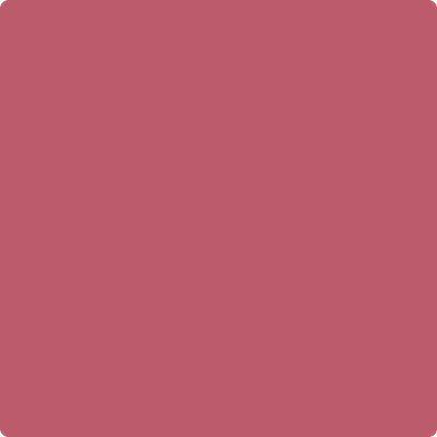 1342-Mardi: Gras  a paint color by Benjamin Moore avaiable at Clement's Paint in Austin, TX.