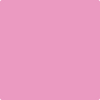 1346-Island: Sunset  a paint color by Benjamin Moore avaiable at Clement's Paint in Austin, TX.