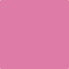 1347-Pink: Ladies  a paint color by Benjamin Moore avaiable at Clement's Paint in Austin, TX.