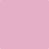 1354-Wild: Heart  a paint color by Benjamin Moore avaiable at Clement's Paint in Austin, TX.