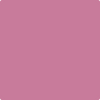 1355-Tropical: Rose  a paint color by Benjamin Moore avaiable at Clement's Paint in Austin, TX.