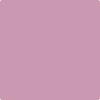 1362-Cranberry: Ice  a paint color by Benjamin Moore avaiable at Clement's Paint in Austin, TX.