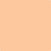 137-Peach: Pudding  a paint color by Benjamin Moore avaiable at Clement's Paint in Austin, TX.