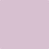 1375-Hidden: Sanctuary  a paint color by Benjamin Moore avaiable at Clement's Paint in Austin, TX.