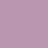 1377-Caribbean: Sunset  a paint color by Benjamin Moore avaiable at Clement's Paint in Austin, TX.