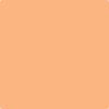 138-Vivid: Beauty  a paint color by Benjamin Moore avaiable at Clement's Paint in Austin, TX.