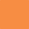 140-Fruit: Punch  a paint color by Benjamin Moore avaiable at Clement's Paint in Austin, TX.