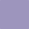 1405-Snugglepuss:  a paint color by Benjamin Moore avaiable at Clement's Paint in Austin, TX.