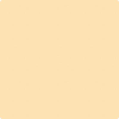 142-Pineapple: Smoothie  a paint color by Benjamin Moore avaiable at Clement's Paint in Austin, TX.