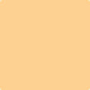 144-Honey: Burst  a paint color by Benjamin Moore avaiable at Clement's Paint in Austin, TX.