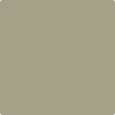 1503-Texas: Sage  a paint color by Benjamin Moore avaiable at Clement's Paint in Austin, TX.