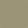 1512-Pining: for You  a paint color by Benjamin Moore avaiable at Clement's Paint in Austin, TX.