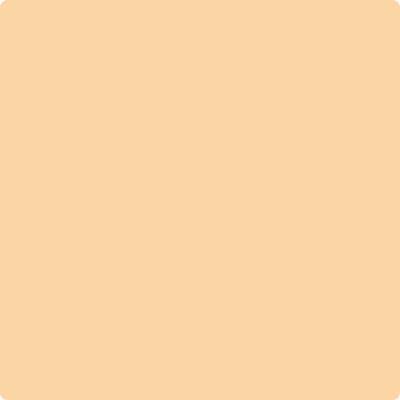 158-Pineapple: Orange  a paint color by Benjamin Moore avaiable at Clement's Paint in Austin, TX.