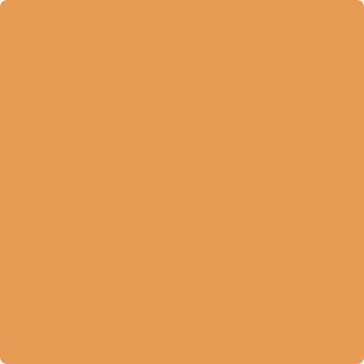 161-Brilliant: Amber  a paint color by Benjamin Moore avaiable at Clement's Paint in Austin, TX.