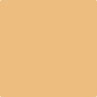 166-Orange: Ice  a paint color by Benjamin Moore avaiable at Clement's Paint in Austin, TX.