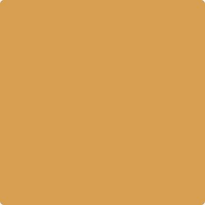 182-Glowing: Umber  a paint color by Benjamin Moore avaiable at Clement's Paint in Austin, TX.
