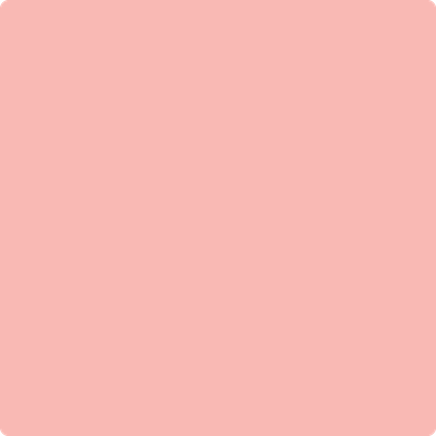 2010-50: Dawn Pink  a paint color by Benjamin Moore avaiable at Clement's Paint in Austin, TX.