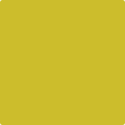2024-20: Evergreen  a paint color by Benjamin Moore avaiable at Clement's Paint in Austin, TX.