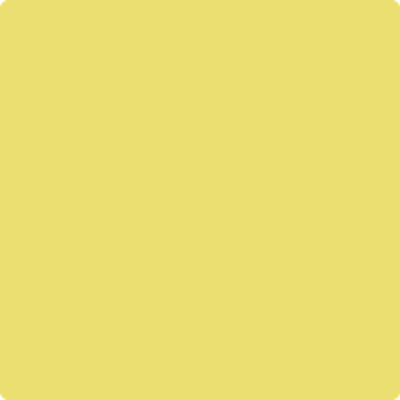 2024-40: Yellow Finch  a paint color by Benjamin Moore avaiable at Clement's Paint in Austin, TX.