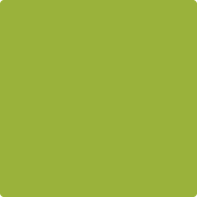 2027-10: Dark Lime  a paint color by Benjamin Moore avaiable at Clement's Paint in Austin, TX.